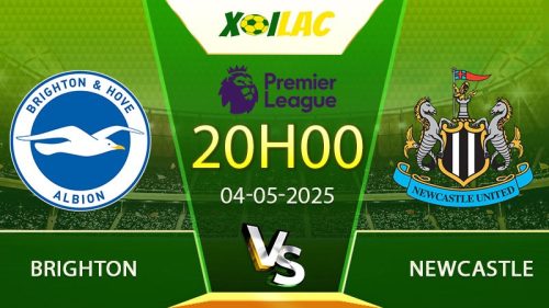Soi kèo Brighton vs Newcastle
